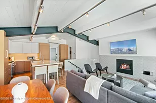 809 S Aspen St, Aspen, CO 81611 - Photo 21