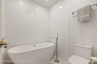 809 S Aspen Street #7, Aspen, CO 81611 - Photo 23