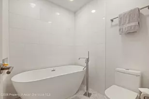 809 S Aspen St, Aspen, CO 81611 - Photo 23