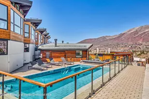 809 S Aspen St, Aspen, CO 81611 - Photo 29