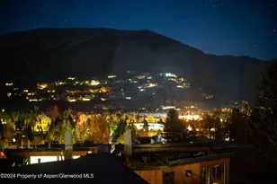 809 S Aspen St, Aspen, CO 81611 - Photo 27