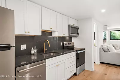 59 Herron Hollow Road, Aspen, CO 81611 - Photo 21