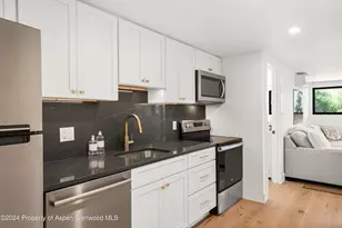 59 Herron Hollow Rd, Aspen, CO 81611 - Photo 21