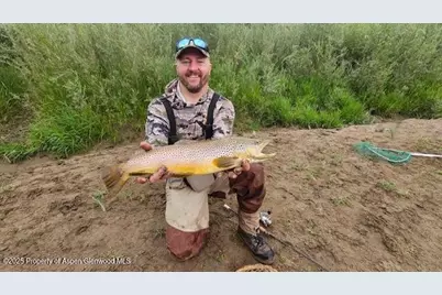 1989 County Road 320, Rifle, CO 81650 - Photo 1