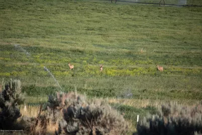 1989 County Road 320, Rifle, CO 81650 - Photo 11