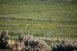 1989 Co Rd 320, Rifle, CO 81650 - Photo 11