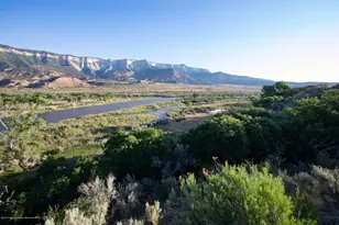 1989 Co Rd 320, Rifle, CO 81650 - Photo 3