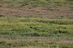 1989 Co Rd 320, Rifle, CO 81650 - Photo 19