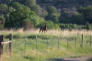 1989 Co Rd 320, Rifle, CO 81650 - Photo 5