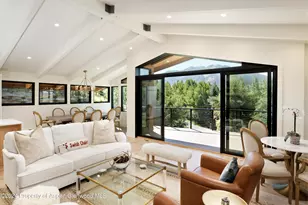 59 Herron Hollow Rd, Aspen, CO 81611 - Photo 9