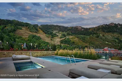 704 S Galena Street, Aspen, CO 81611 - Photo 17