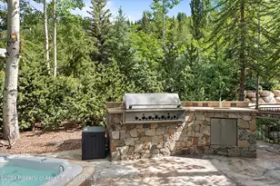 27 Nighthawk Dr, Aspen, CO 81611 - Photo 51