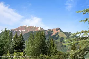 27 Nighthawk Dr, Aspen, CO 81611 - Photo 55