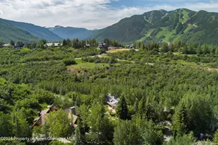 27 Nighthawk Dr, Aspen, CO 81611 - Photo 59