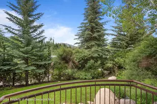 27 Nighthawk Dr, Aspen, CO 81611 - Photo 57