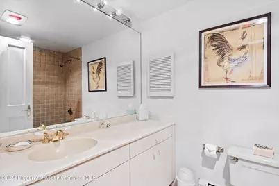 209 Larkspur Lane, Aspen, CO 81611 - Photo 29