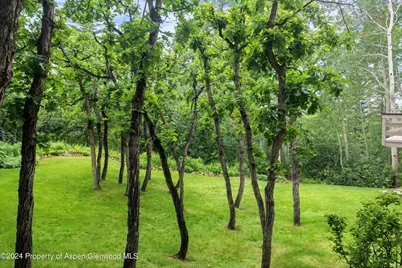 209 Larkspur Lane, Aspen, CO 81611 - Photo 39