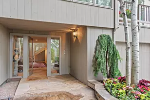 209 Larkspur Ln, Aspen, CO 81611 - Photo 5