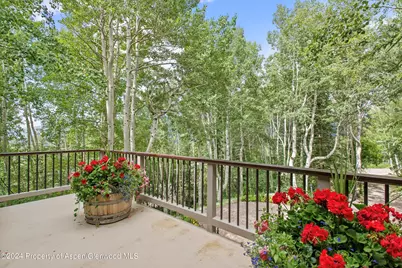 209 Larkspur Lane, Aspen, CO 81611 - Photo 11
