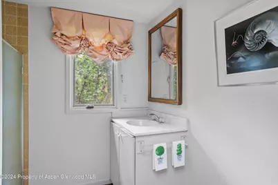 209 Larkspur Lane, Aspen, CO 81611 - Photo 35