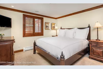 315 S First Street, Aspen, CO 81611 - Photo 21