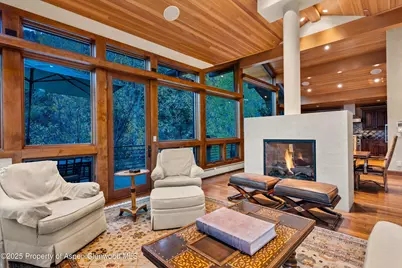 315 S First Street, Aspen, CO 81611 - Photo 3