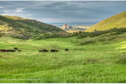 850 Rilling Canyon Road, La Veta, CO 81055 - Photo 11
