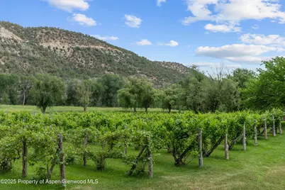 34074 Fruitland Mesa Road, Crawford, CO 81415 - Photo 15