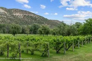 34074 Fruitland Mesa Rd, Crawford, CO 81415 - Photo 15