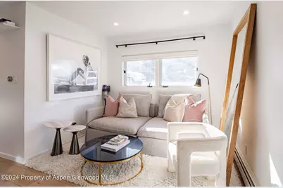 700 W Hopkins Avenue #6, Aspen, CO 81611 - Photo 13