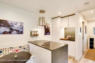 700 W Hopkins Ave, Aspen, CO 81611 - Photo 5