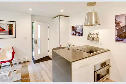 700 W Hopkins Avenue #6, Aspen, CO 81611 - Photo 3