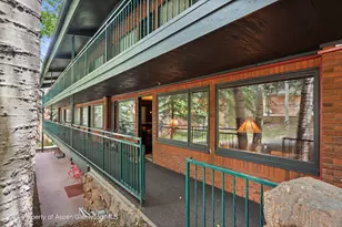 731 S Mill St, Aspen, CO 81611 - Photo 17