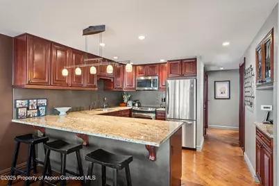 731 S Mill Street #2C, Aspen, CO 81611 - Photo 3