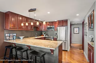 731 S Mill St, Aspen, CO 81611 - Photo 3