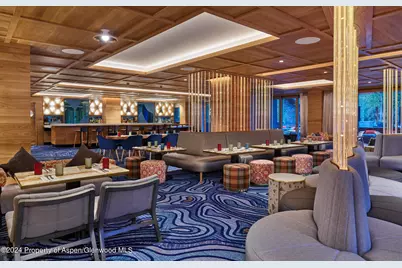 550 S Spring Street #F8-10, Aspen, CO 81611 - Photo 9