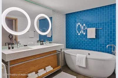 550 S Spring Street #F8-10, Aspen, CO 81611 - Photo 7