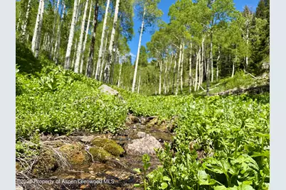 N/A F S 602 Road, Glenwood Springs, CO 81601 - Photo 11