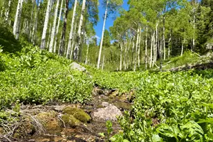 N/A F S 602 Road, Glenwood Springs, CO 81601 - Photo 11