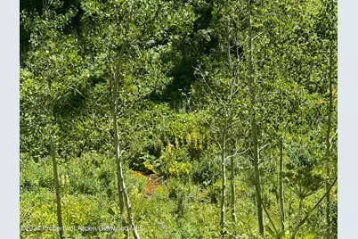 N/A F S 602 Road, Glenwood Springs, CO 81601 - Photo 13