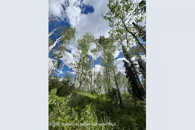 N/A F S 602 Road, Glenwood Springs, CO 81601 - Photo 9
