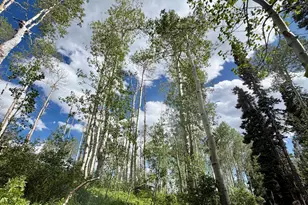 N/A F S 602 Road, Glenwood Springs, CO 81601 - Photo 9