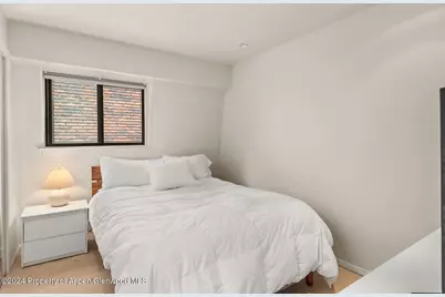 108 W Hyman Avenue #2, Aspen, CO 81611 - Photo 11