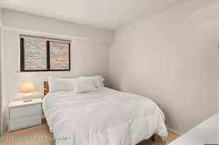 108 W Hyman Ave, Aspen, CO 81611 - Photo 11