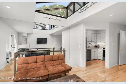 108 W Hyman Avenue #2, Aspen, CO 81611 - Photo 5