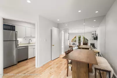 108 W Hyman Avenue #2, Aspen, CO 81611 - Photo 7