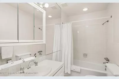 108 W Hyman Avenue #2, Aspen, CO 81611 - Photo 17