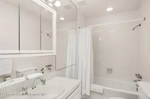 108 W Hyman Ave, Aspen, CO 81611 - Photo 17