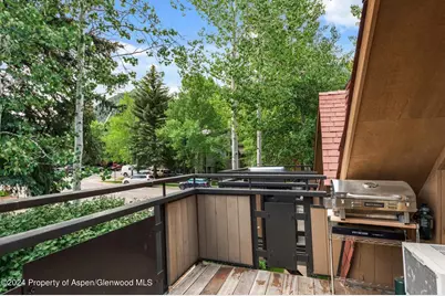 108 W Hyman Avenue #2, Aspen, CO 81611 - Photo 1