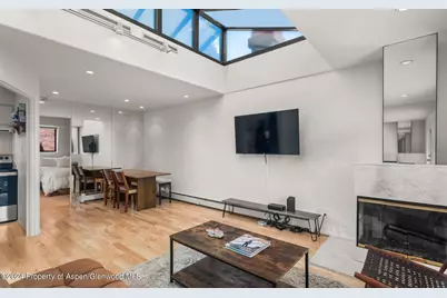 108 W Hyman Avenue #2, Aspen, CO 81611 - Photo 9